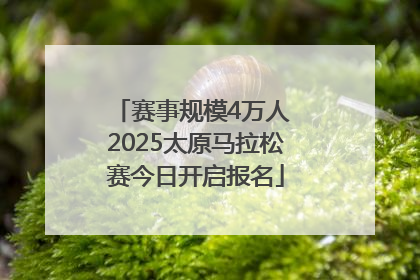 赛事规模4万人 2025太原马拉松赛今日开启报名