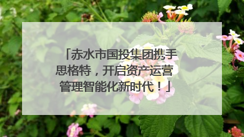 赤水市国投集团携手思格特，开启资产运营管理智能化新时代！