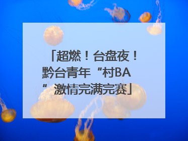 超燃！台盘夜！黔台青年“村BA”激情完满完赛