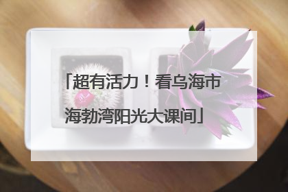 超有活力！看乌海市海勃湾阳光大课间