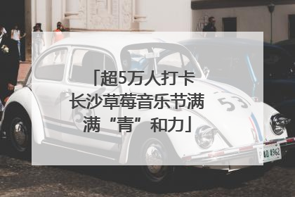 超5万人打卡 长沙草莓音乐节满满“青”和力