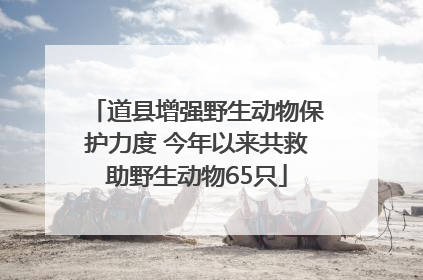 道县增强野生动物保护力度 今年以来共救助野生动物65只
