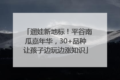 遛娃新地标！平谷南瓜嘉年华，30+品种让孩子边玩边涨知识