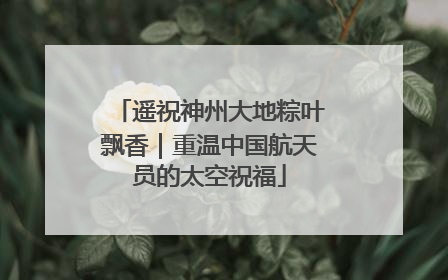 遥祝神州大地粽叶飘香｜重温中国航天员的太空祝福