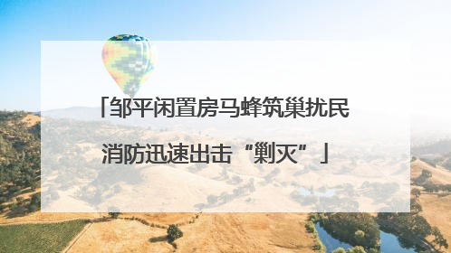 邹平闲置房马蜂筑巢扰民 消防迅速出击“剿灭”