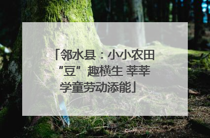 邻水县：小小农田“豆”趣横生 莘莘学童劳动添能