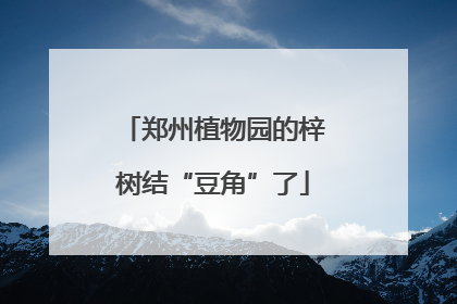 郑州植物园的梓树结“豆角”了