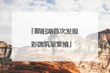 鄱阳湖首次发现彩鹮筑巢繁殖