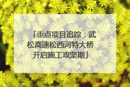 重点项目追踪：武松高速松西河特大桥开启施工攻坚期