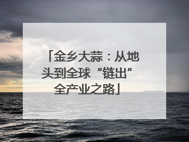 金乡大蒜：从地头到全球“链出”全产业之路