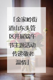 金家岭街道山东头管区开展端午节主题活动 传递敬老温情