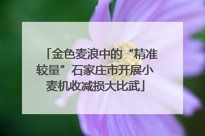 金色麦浪中的“精准较量”石家庄市开展小麦机收减损大比武