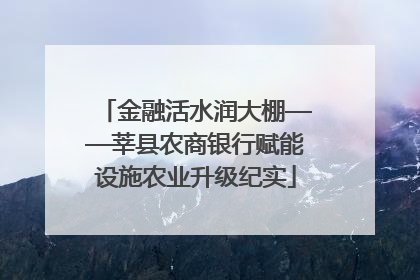 金融活水润大棚——莘县农商银行赋能设施农业升级纪实