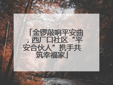 金锣敲响平安曲，西厂口社区“平安合伙人”携手共筑幸福家