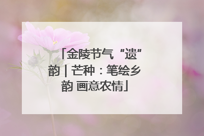 金陵节气“遗”韵｜芒种：笔绘乡韵 画意农情