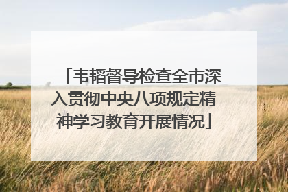韦韬督导检查全市深入贯彻中央八项规定精神学习教育开展情况