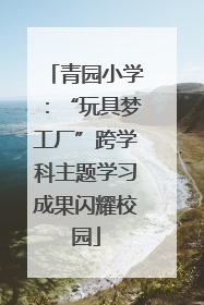 青园小学：“玩具梦工厂”跨学科主题学习成果闪耀校园