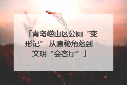 青岛崂山区公厕“变形记” 从隐秘角落到文明“会客厅”