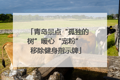 青岛景点“孤独的树”暖心“宠粉” 移除健身指示牌