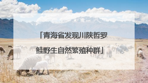 青海省发现川陕哲罗鲑野生自然繁殖种群