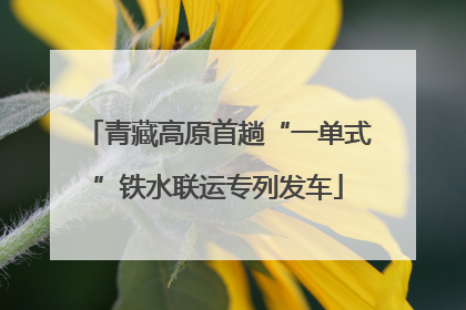 青藏高原首趟“一单式”铁水联运专列发车