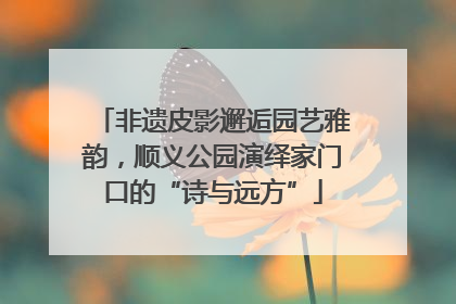 非遗皮影邂逅园艺雅韵，顺义公园演绎家门口的“诗与远方”