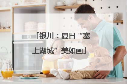 银川：夏日“塞上湖城”美如画
