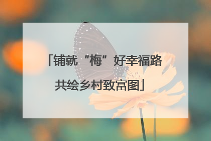 铺就“梅”好幸福路 共绘乡村致富图