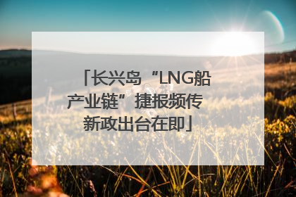 长兴岛“LNG船产业链”捷报频传 新政出台在即