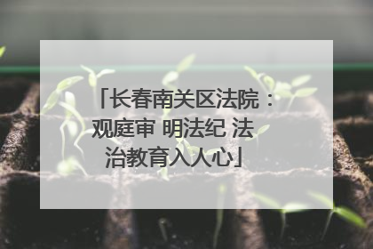长春南关区法院：观庭审 明法纪 法治教育入人心