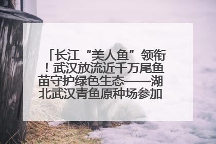 长江“美人鱼”领衔！武汉放流近千万尾鱼苗守护绿色生态——湖北武汉青鱼原种场参加2025年“全国放鱼日”增殖放流活动
