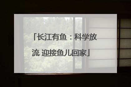 长江有鱼：科学放流 迎接鱼儿回家