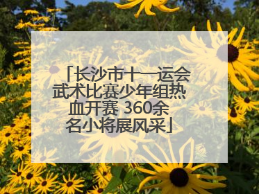 长沙市十一运会武术比赛少年组热血开赛 360余名小将展风采