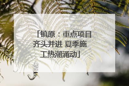 镇原：重点项目齐头并进 夏季施工热潮涌动