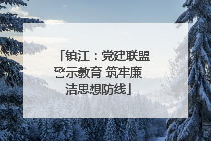 镇江：党建联盟警示教育 筑牢廉洁思想防线