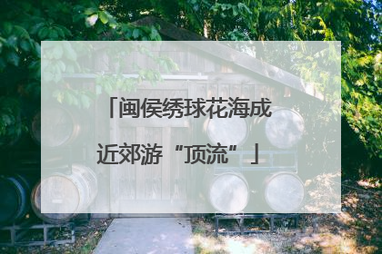 闽侯绣球花海成近郊游“顶流”