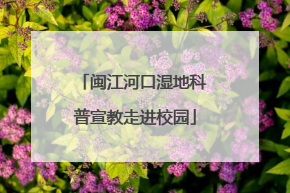 闽江河口湿地科普宣教走进校园