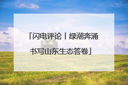 闪电评论丨绿潮奔涌 书写山东生态答卷