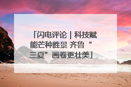 闪电评论｜科技赋能芒种胜景 齐鲁“三夏”画卷更壮美
