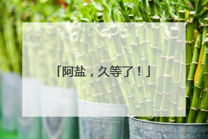 阿盐，久等了！