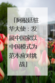 阿根廷驻华大使：发展中国家以中国模式为范本应对挑战