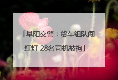 阜阳交警：货车组队闯红灯 28名司机被拘
