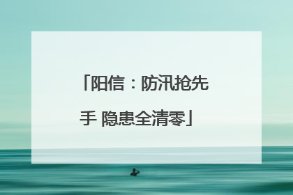 阳信：防汛抢先手 隐患全清零