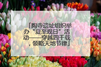 陶寺遗址组织举办“夏至观日”活动——穿越四千载，领略天地节律