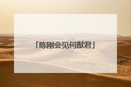 陈刚会见何猷君