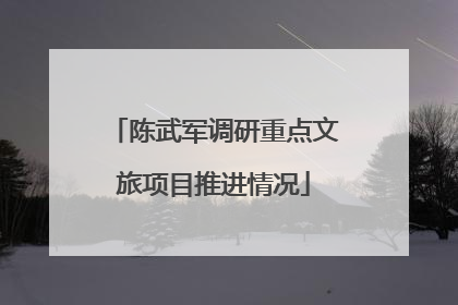 陈武军调研重点文旅项目推进情况