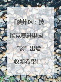 陕州区：技能竞赛进果园 “袋”出增收新希望
