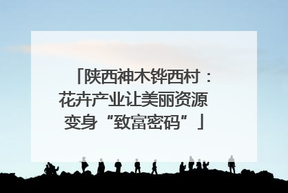 陕西神木铧西村：花卉产业让美丽资源变身“致富密码”