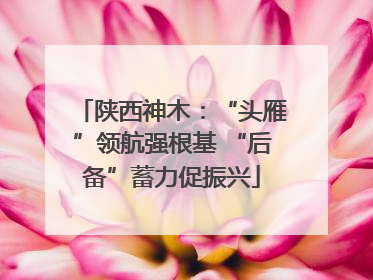 陕西神木：“头雁”领航强根基 “后备”蓄力促振兴