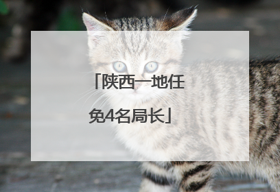 陕西一地任免4名局长